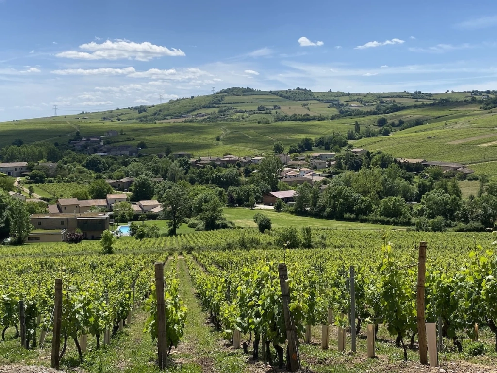 Domaine de la famille Sangouard & Chéné
