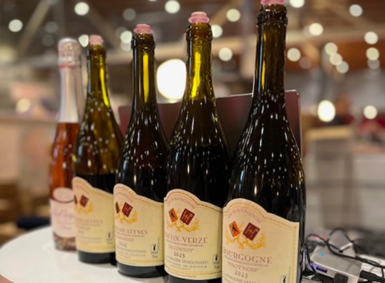 Salon des Vignerons Indépendants à Bordeaux 2026